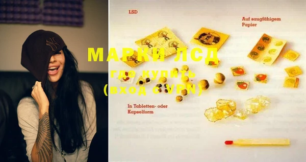 сатива Медногорск