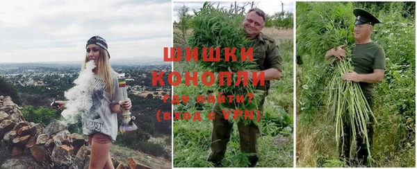 сатива Медногорск