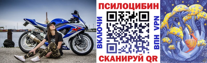 Галлюциногенные грибы Psilocybine cubensis  Купить закладки  Вологда 